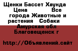 Щенки Бассет Хаунда  › Цена ­ 25 000 - Все города Животные и растения » Собаки   . Амурская обл.,Благовещенск г.